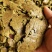 【推荐】棉籽饼果蔬蘑菇肥料用大量现货欢迎咨询