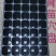 育苗穴盘，大量供应，50克到200欢迎选购