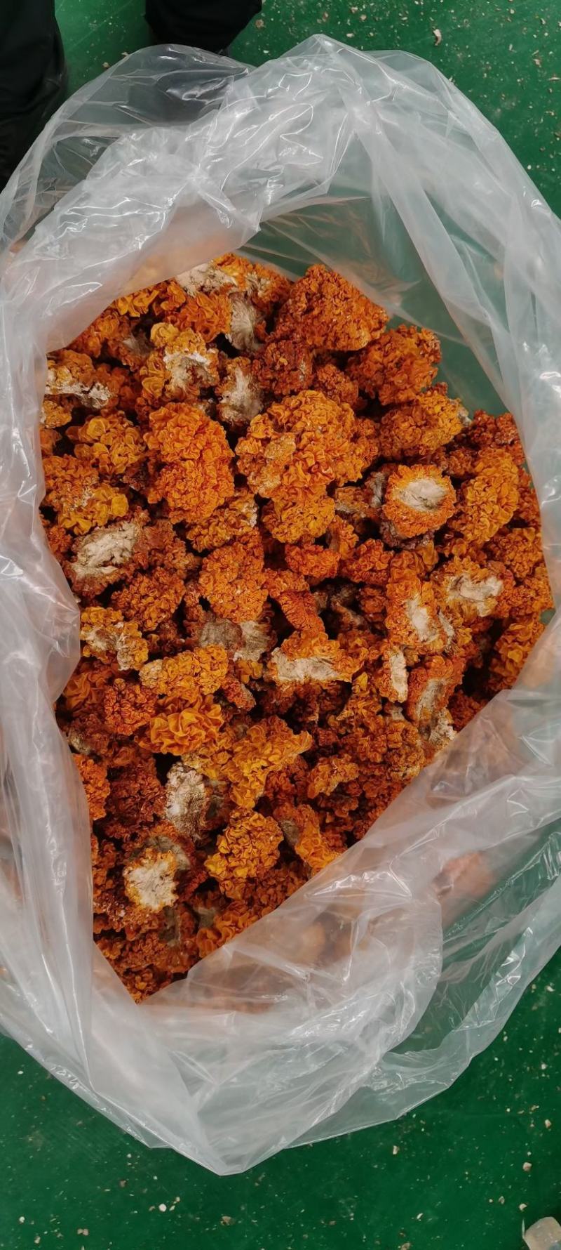 金耳鲜货干货，量大，全国包邮