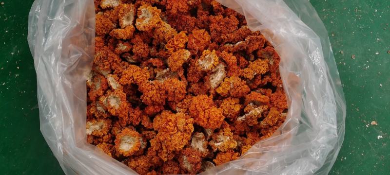金耳鲜货干货，量大，全国包邮