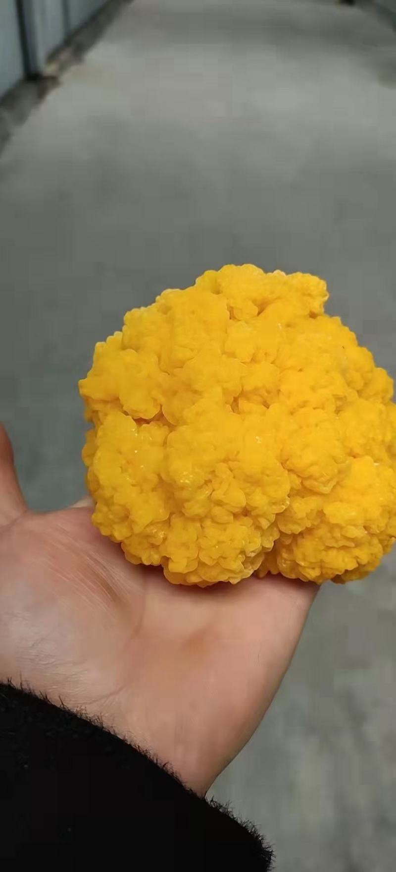 金耳鲜货干货，量大，全国包邮