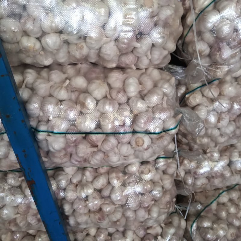 【按需加工】大蒜红皮白皮紫皮大蒜金乡大蒜专业加工高端电商