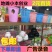 【热销中】2元百货居家，两元店小本创业，地摊夜市2元店货