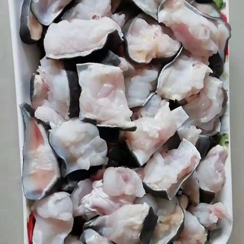 大量批发零售活体商品鳄鱼，鳄鱼肉鳄鱼腿，鳄鱼背，鳄鱼罐头