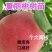 夏丽桃树苗,中熟离核,个大全红,保证质量