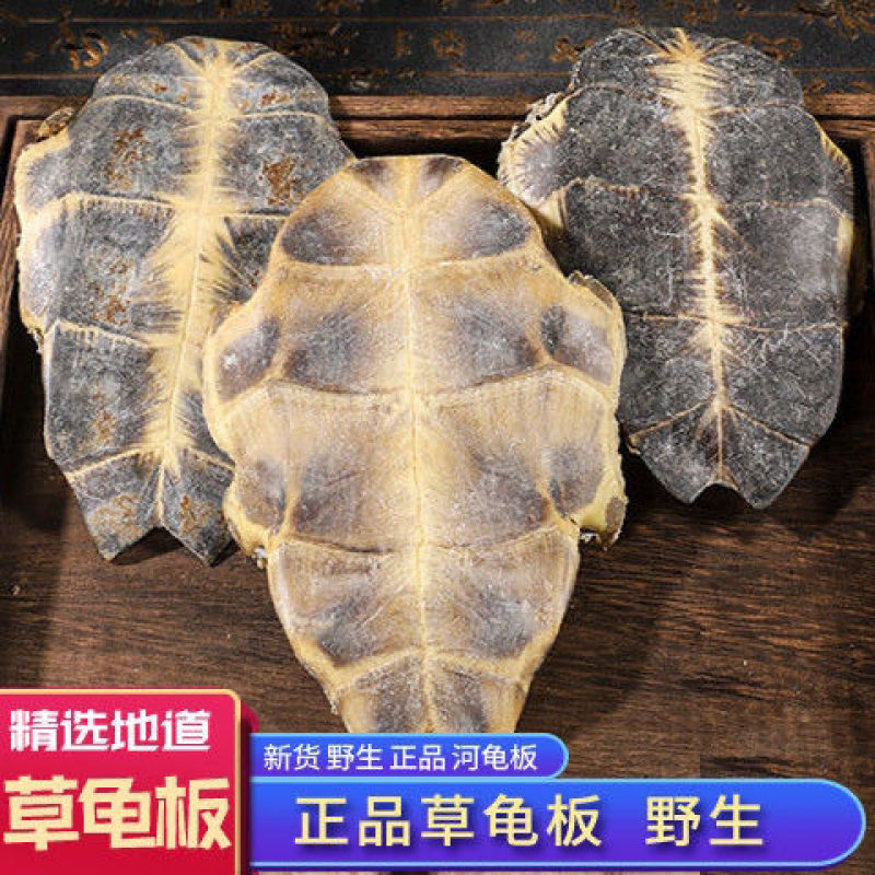 中药材炙龟板醋制龟板精选炙龟板正宗整个带皮醋炙龟板