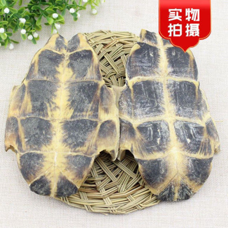 中药材炙龟板醋制龟板精选炙龟板正宗整个带皮醋炙龟板