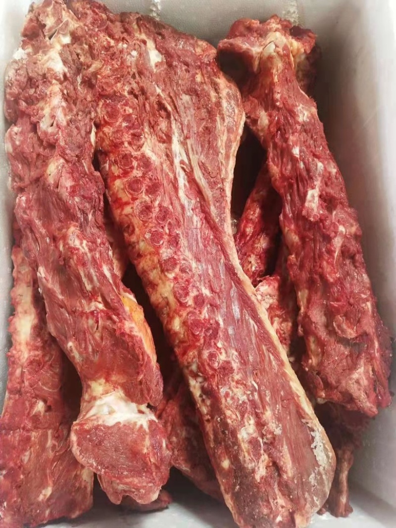 山东肉驴100~200斤，量大从优肥瘦兼有，全国供应