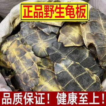 中药材炙龟板醋制龟板精选炙龟板正宗整个带皮醋炙龟板