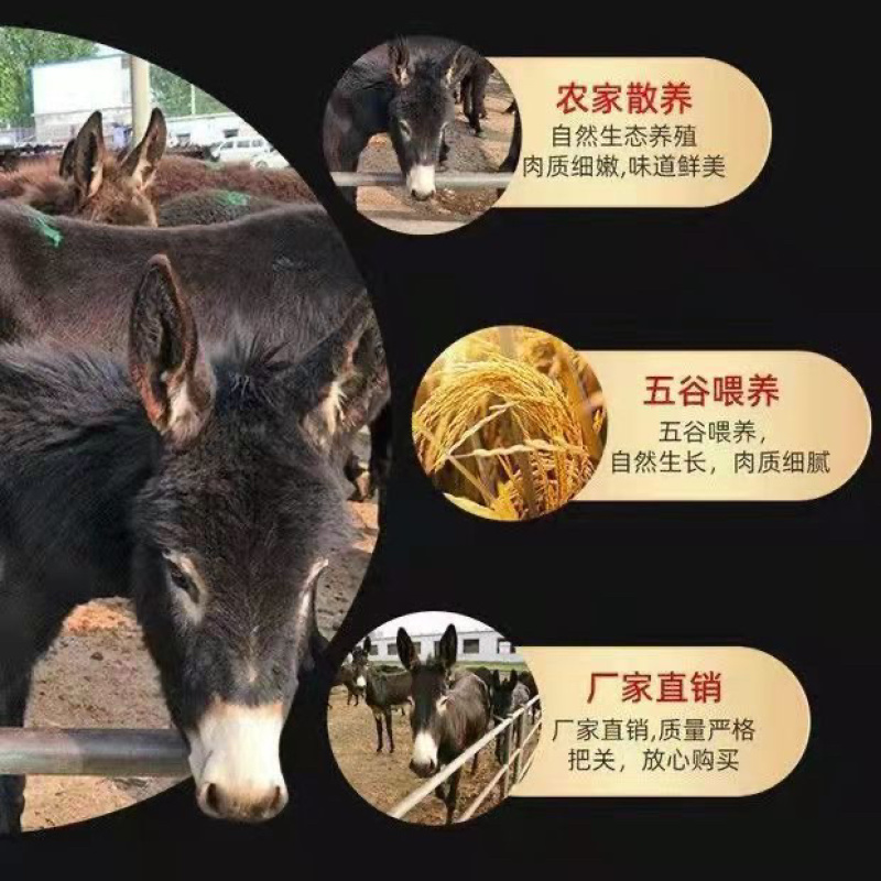 山东鲜驴肉大量到货，肉质鲜美，肥瘦兼有，欢迎采购