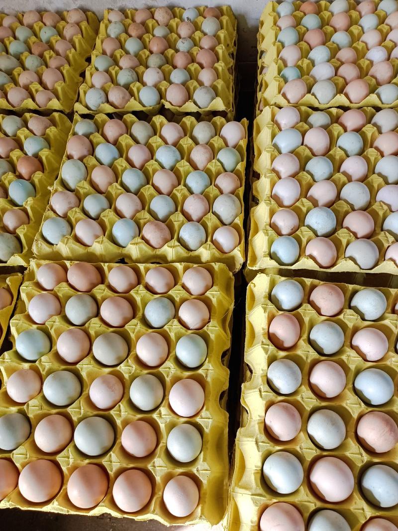 精品农家土鸡蛋，双色，蛋清稠，蛋黄大，自产自销，诚信经营