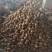 精品黄心土豆，4两起步.大量出售出货量大