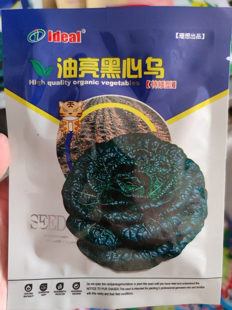 油亮黑心乌乌塌菜种子，20克