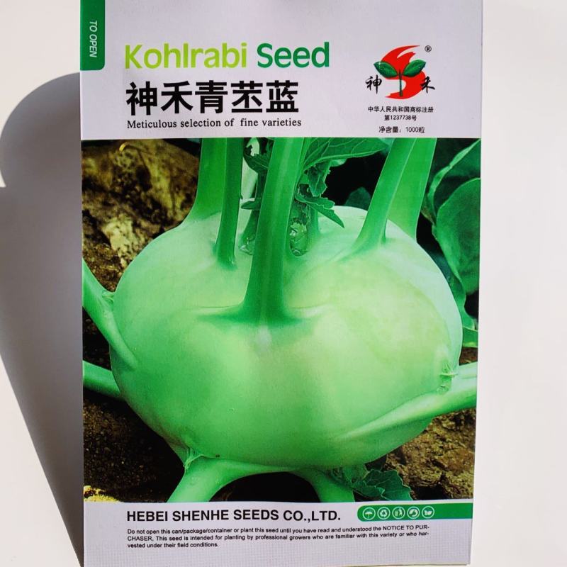 神禾青苤蓝种子球茎大不易裂球皮薄质脆甜苤兰种子苤了