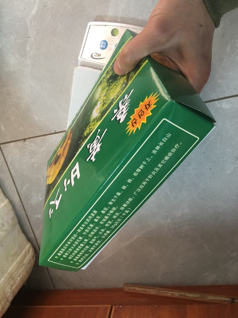 包邮野生桑黄丁香桑黄（朝鲜桑黄）500克一盒一盒起批发