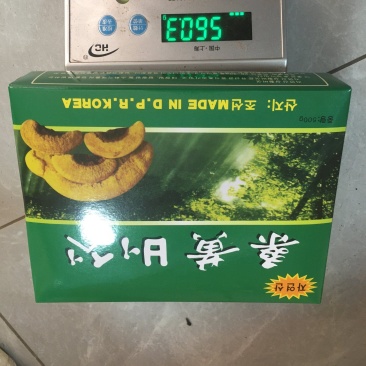 包邮野生桑黄丁香桑黄（朝鲜桑黄）500克一盒一盒起批发