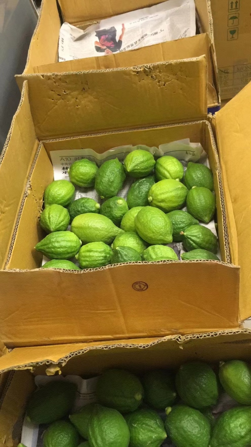 广东无籽香水柠檬