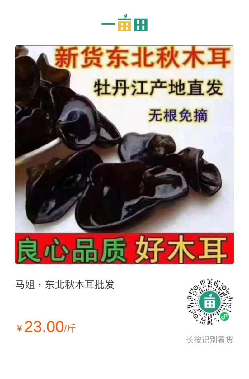 东北黑龙江马姐，秋木耳批发泡发出来黑厚的，质量好