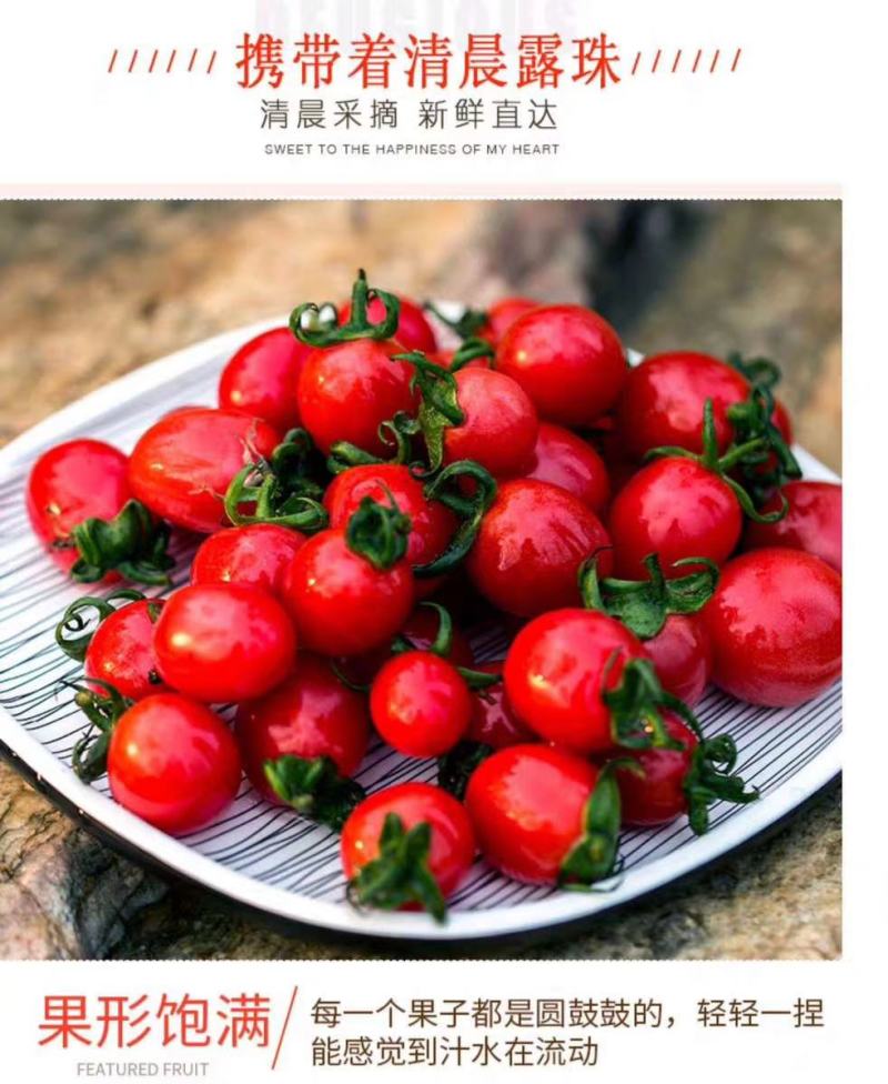 中国蔬菜第一县，山东莘县圣女果，甜瓜，已经陆续上市！