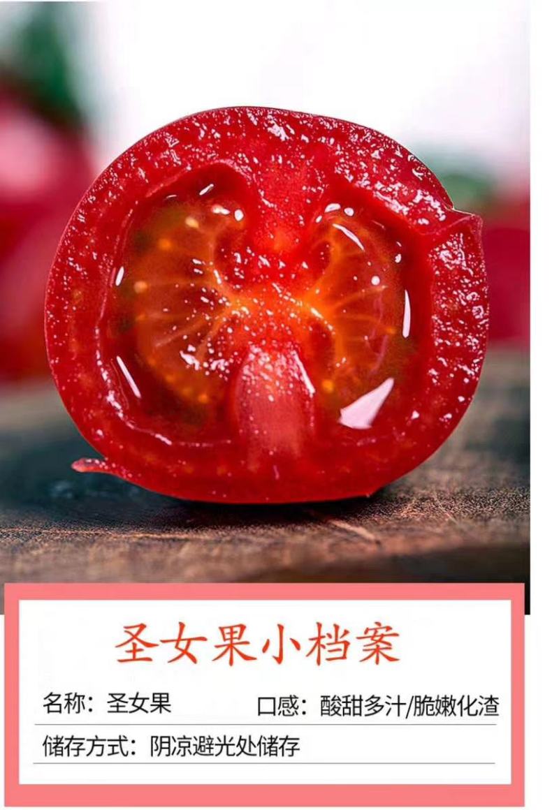 中国蔬菜第一县，山东莘县圣女果，甜瓜，已经陆续上市！