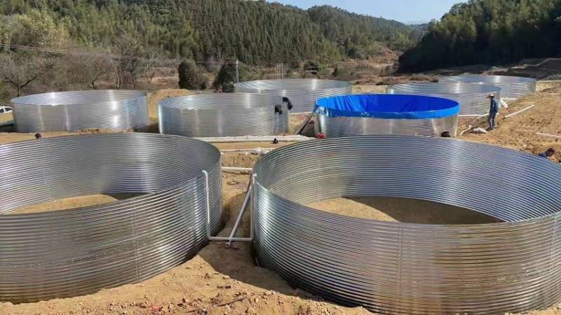 农村新模式工厂化鲈鱼养殖镀锌板防渗漏帆布鱼池