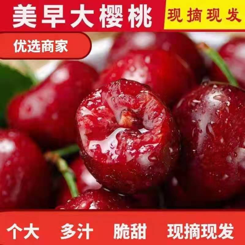 [樱桃]山东美早樱桃上市中，价格便宜，全国发货