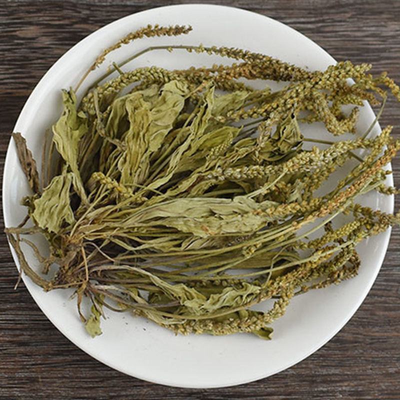 车前草批发零售量大从优各种中药材