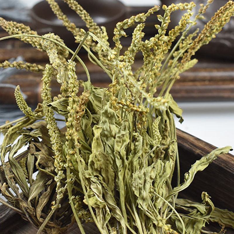 车前草批发零售量大从优各种中药材