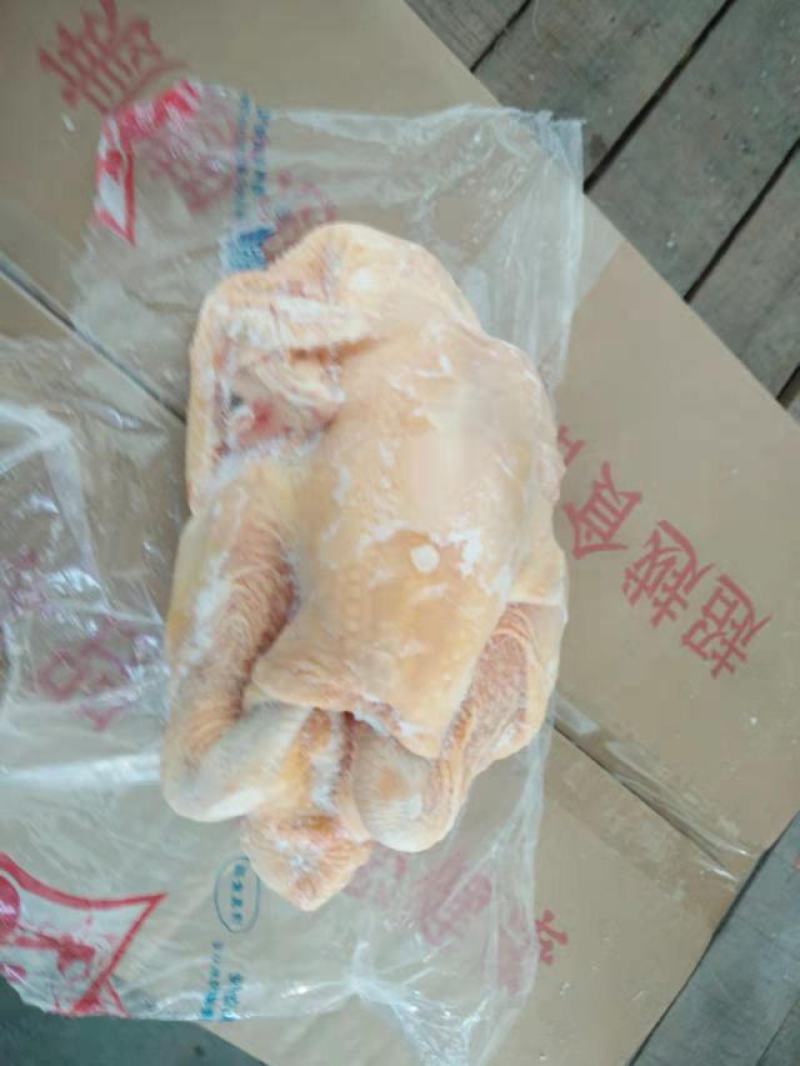 盘腿三黄鸡