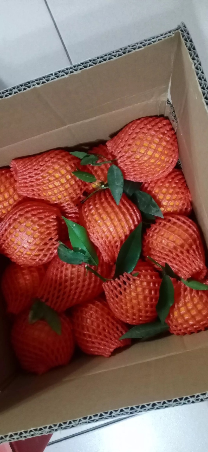 耙耙杆，不知火，沃柑，青见
