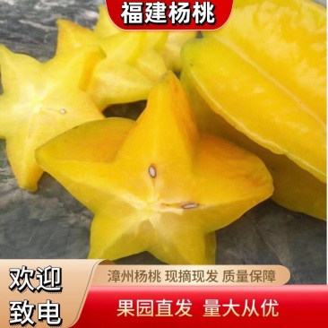 【现摘现发】杨桃新鲜水果当季现摘福建下河杨桃，甜杨桃之乡