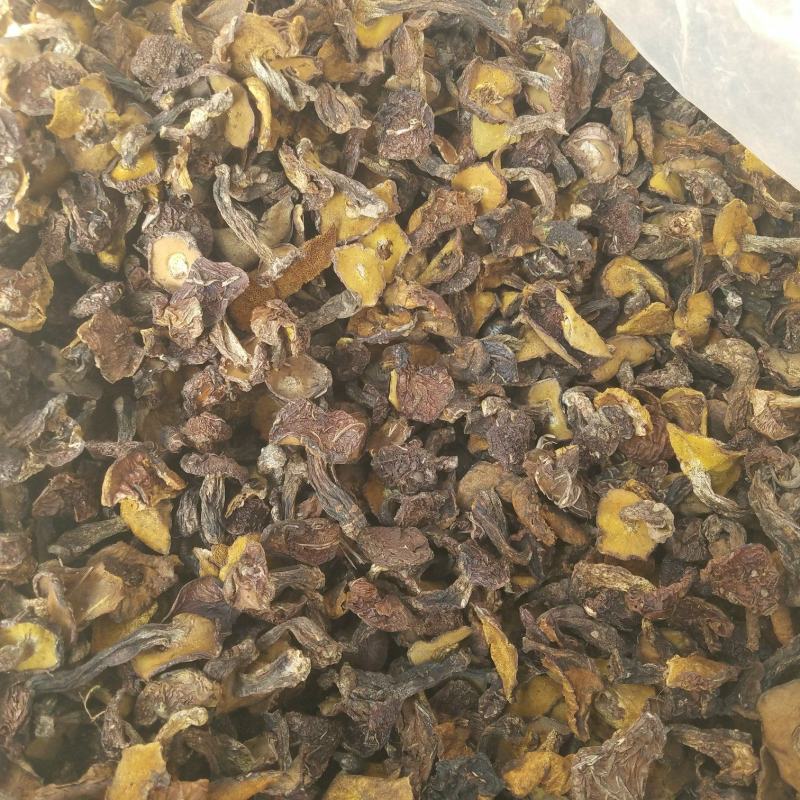 松蘑，滑子菇，杏鲍菇大片根片，香菇