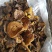 松蘑，滑子菇，杏鲍菇大片根片，香菇