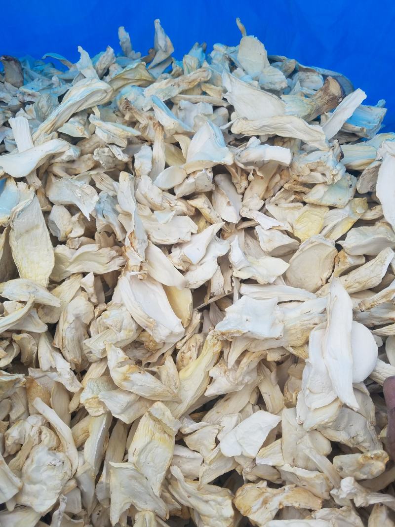 松蘑，滑子菇，杏鲍菇大片根片，香菇