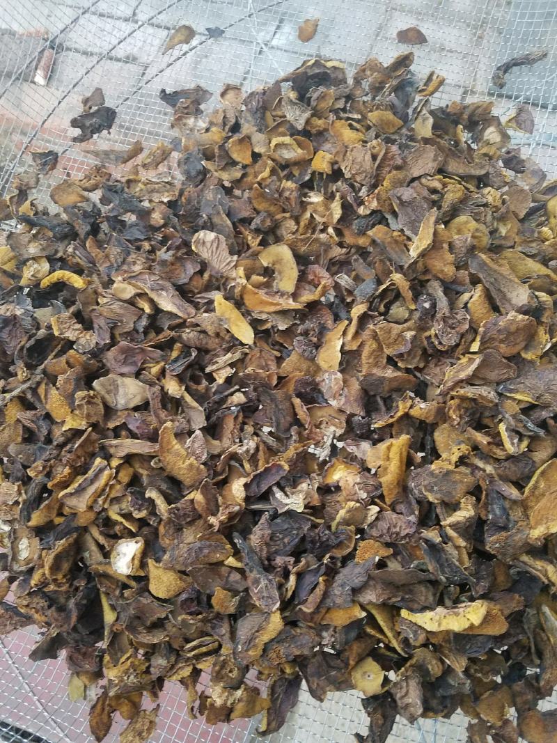 松蘑，滑子菇，杏鲍菇大片根片，香菇