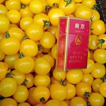 黄妃樱桃番茄