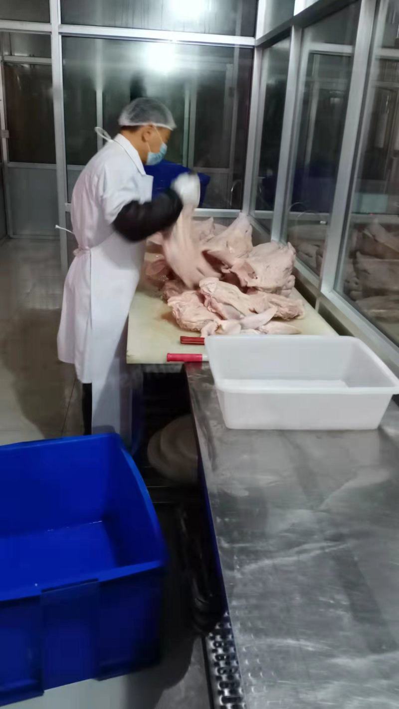 猪头肉猪肝猪耳朵猪肺