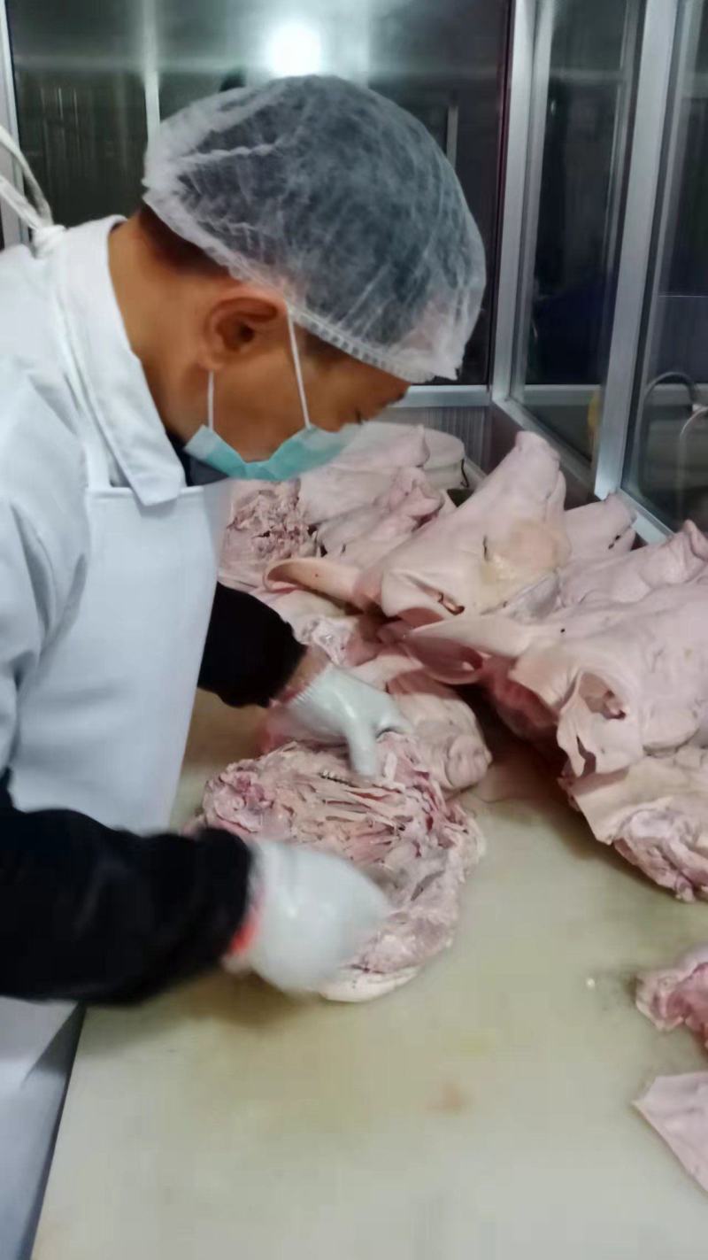 猪头肉猪肝猪耳朵猪肺