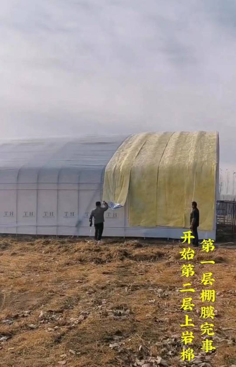 养殖大棚养猪大棚羊牛大棚包塑热镀锌骨架
