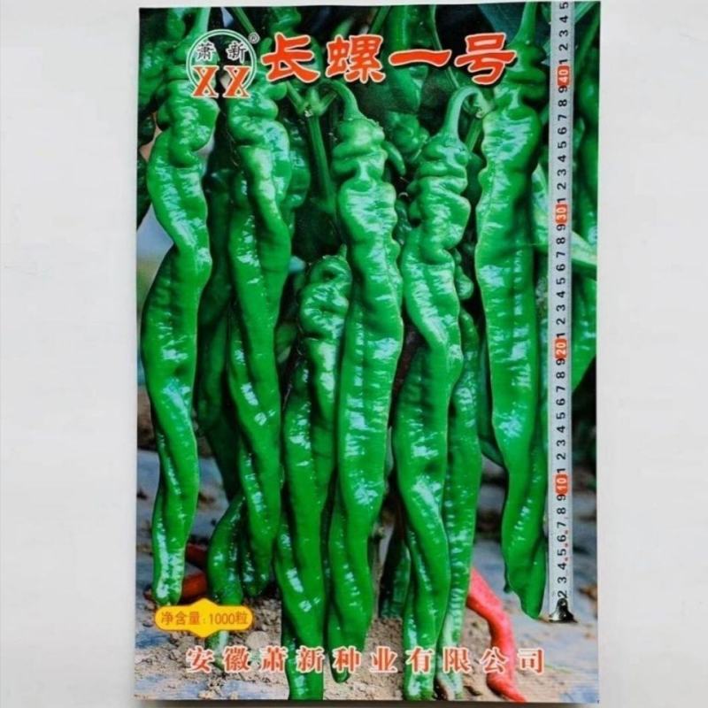 早熟螺丝椒杭椒种子薄皮高产辣香浓郁适合春秋两季种植适应性