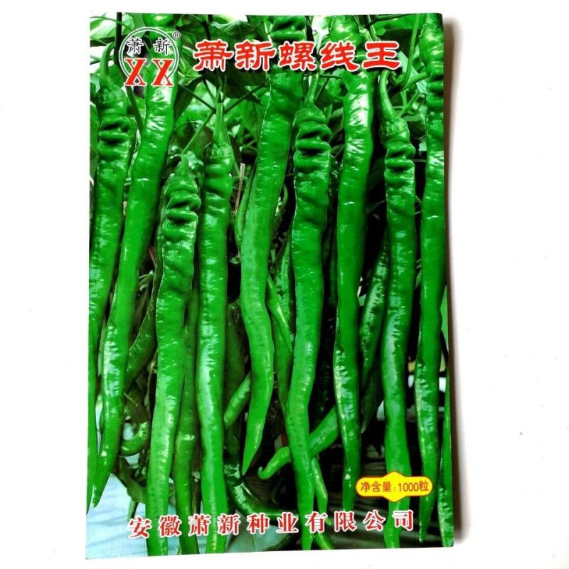 早熟螺丝椒杭椒种子薄皮高产辣香浓郁适合春秋两季种植适应性