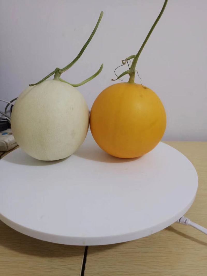 【甜瓜】正宗久瑞红产地直销可视频看货量大从优