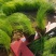 墨西哥鼠尾草，细茎针茅种植基地