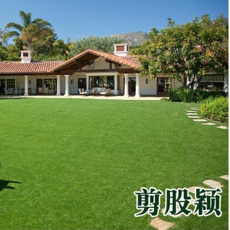 剪股颖草坪种子低矮庭院别墅高尔夫球场四季常青耐践踏