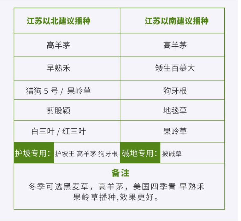 剪股颖草坪种子低矮庭院别墅高尔夫球场四季常青耐践踏