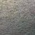 长江一代草鱼苗