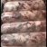 纯干生筋头巴脑肉筋。质量保证，一手货源一件代发