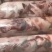 纯干生筋头巴脑肉筋。质量保证，一手货源一件代发