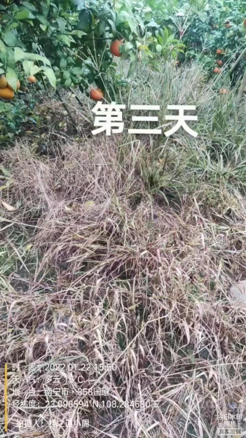 敌草快二氯盐，看的见的效果，正规产品可上柜，欢迎选购。