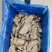 满肉乳山原浆生蚝96片72片无泡水无泡药原汁原味